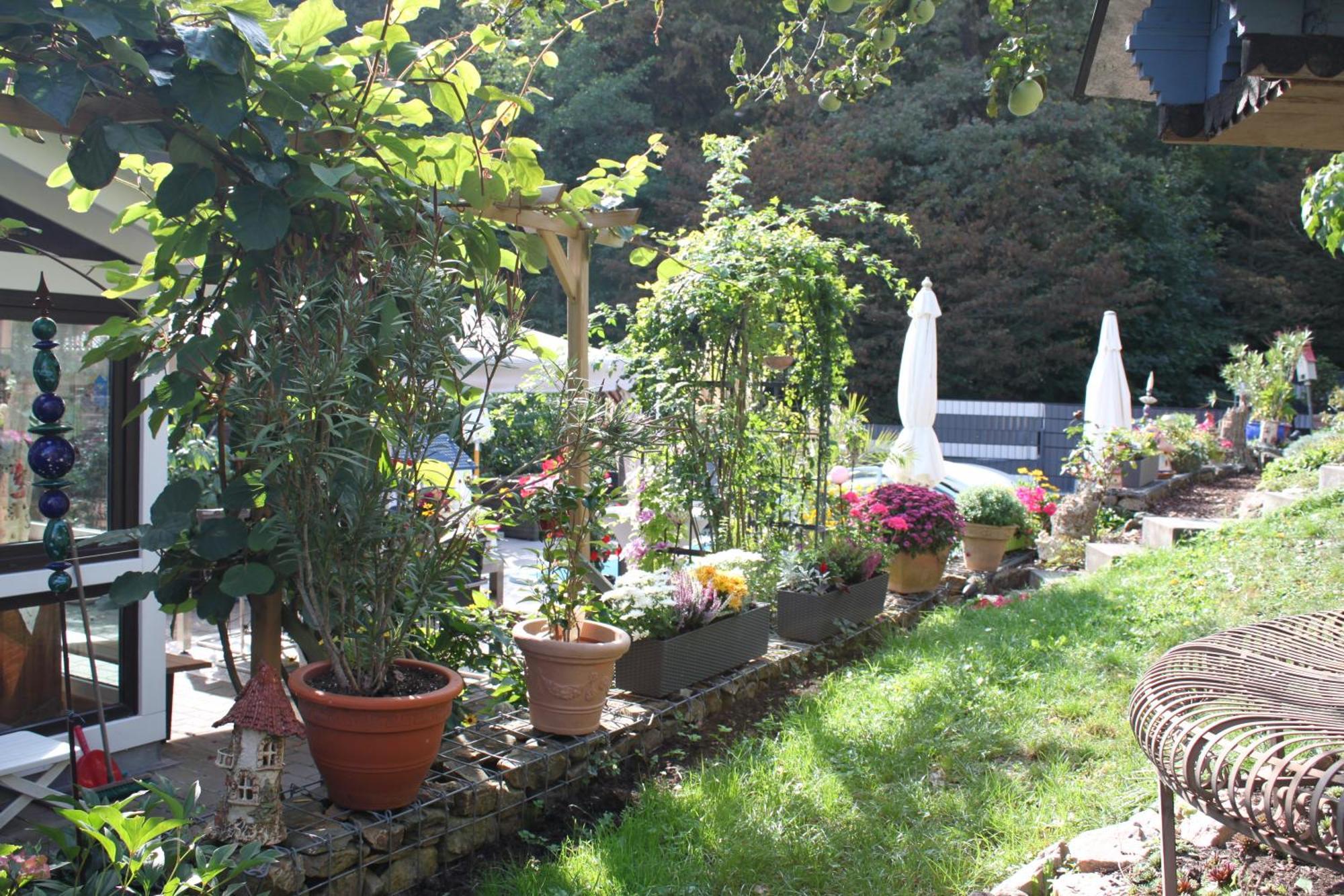 Ferienwohnung Im Morgenbachtal Trechtingshausen Ngoại thất bức ảnh